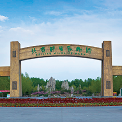 人生就是博-尊龙凯时中国官网